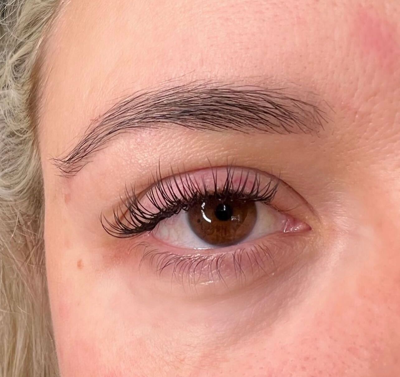 Brown eye with a natural classic eyelash extension set